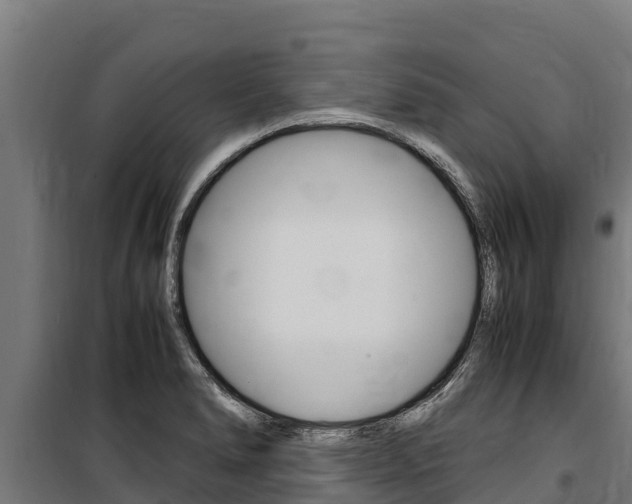 X0000100851278200806200753