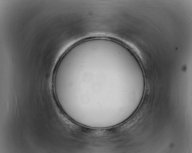 X0000100851279200806200753
