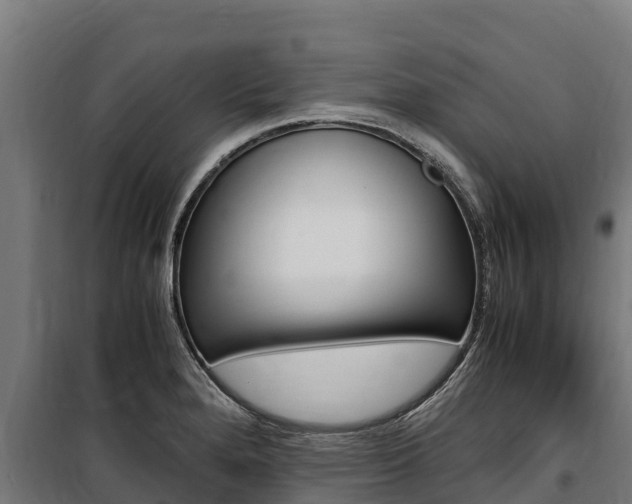 X0000100851280200806200753