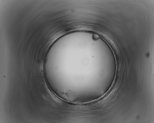 X0000100851281200806200753