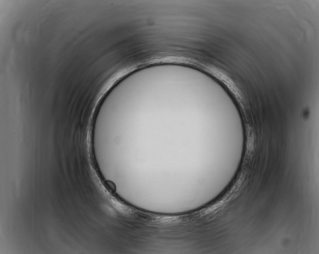 X0000100851282200806200753