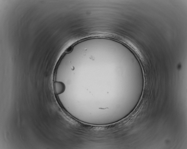X0000100851283200806200753