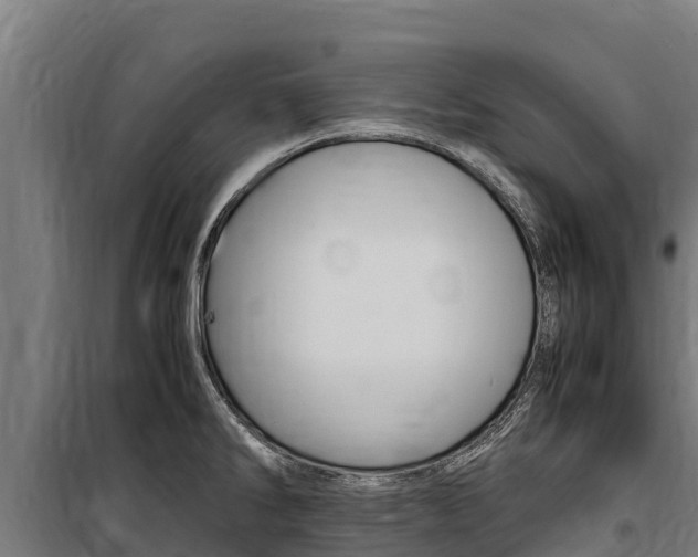 X0000100851286200806200753