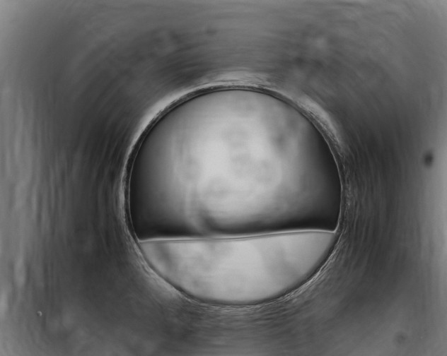X0000100851288200806200753