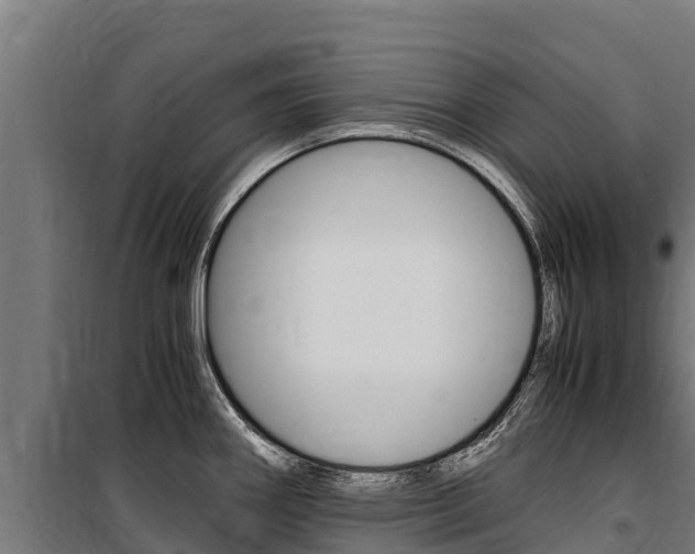 X0000100851290200806200753