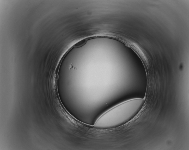 X0000100851292200806200753