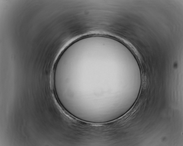 X0000100851295200806200753