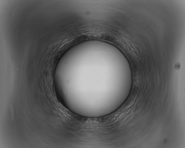 X0000100851297200806200752