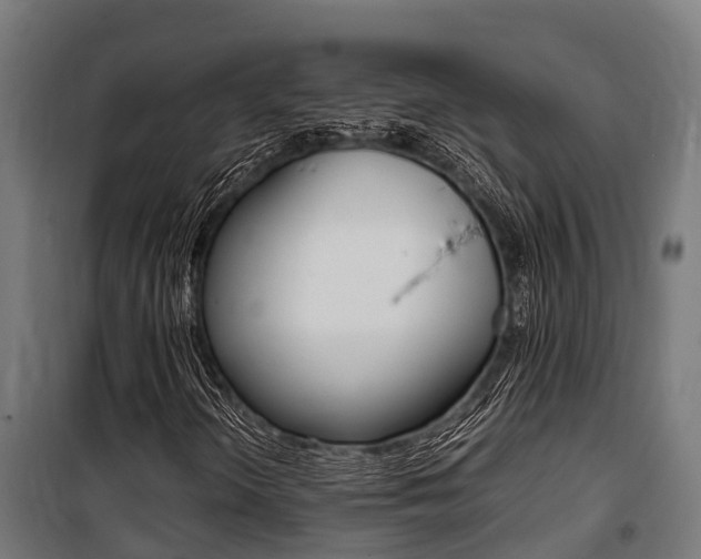 X0000100851298200806200752
