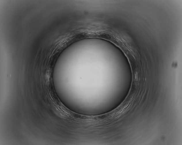 X0000100851300200806200752