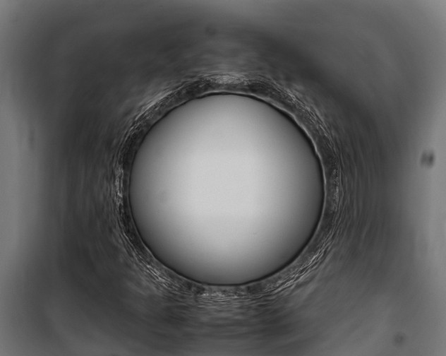X0000100851301200806200752