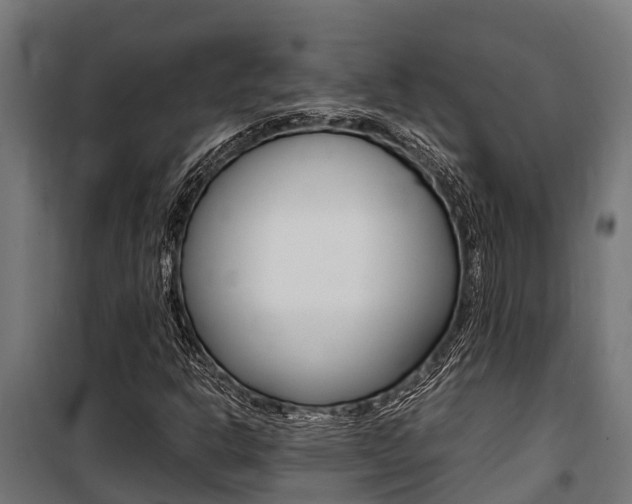 X0000100851302200806200752