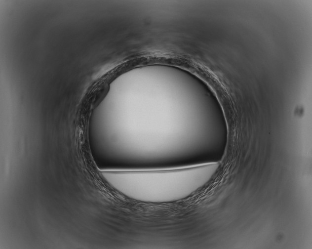 X0000100851303200806200752