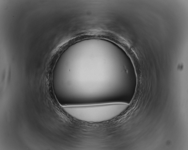 X0000100851304200806200752