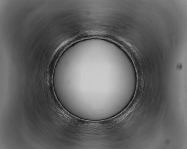 X0000100851306200806200752