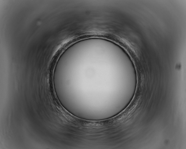 X0000100851307200806200752