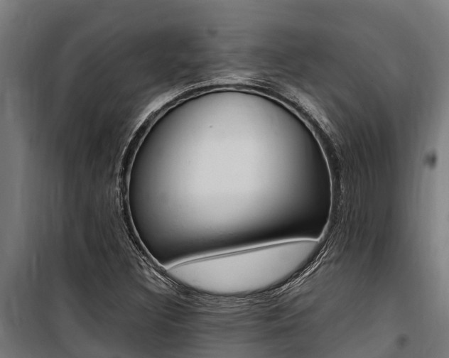 X0000100851308200806200752