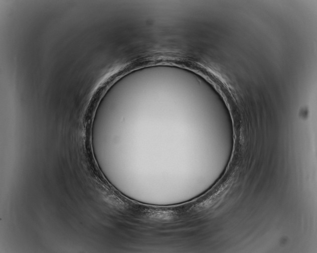 X0000100851309200806200752