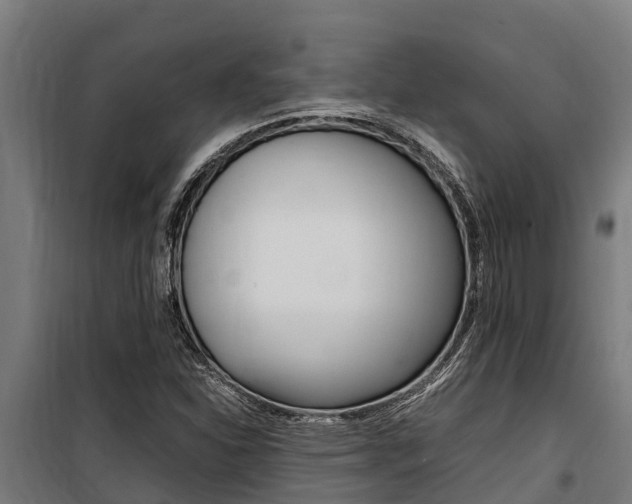 X0000100851310200806200753