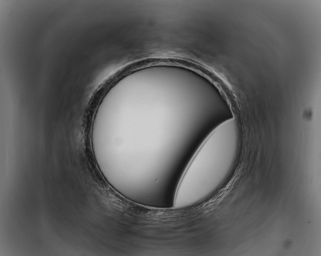 X0000100851311200806200753
