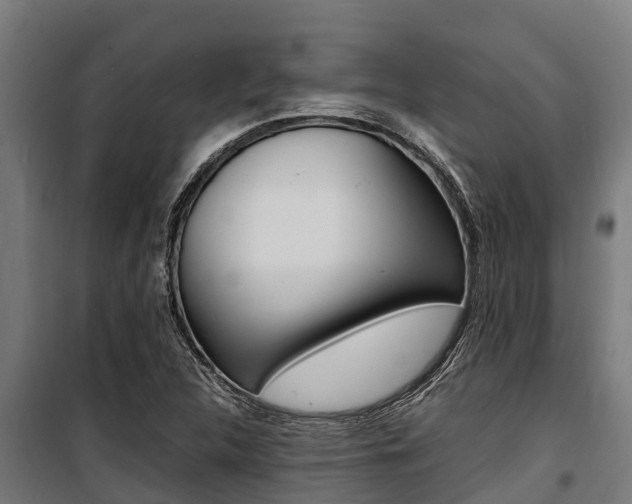 X0000100851312200806200753