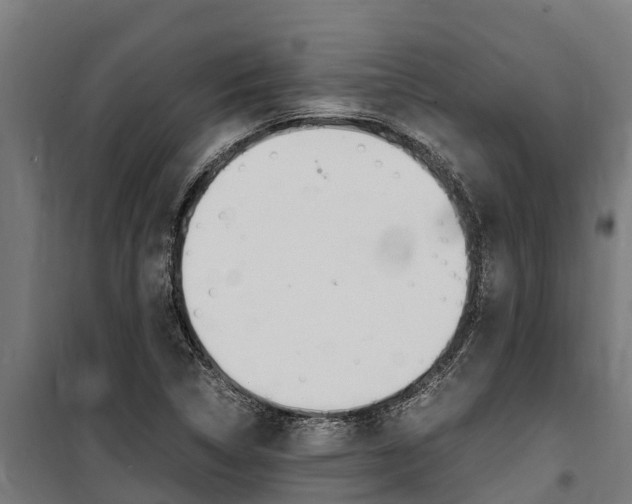 X0000100851314200806200753