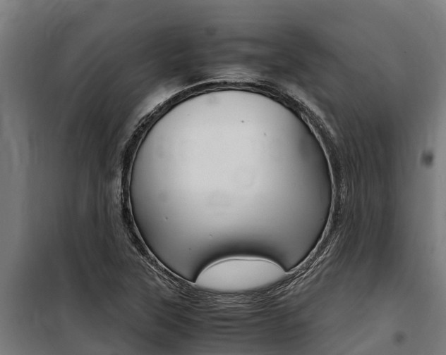 X0000100851315200806200753