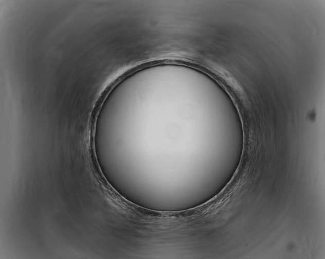X0000100851316200806200753
