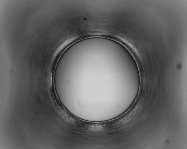 X0000100851317200806200753