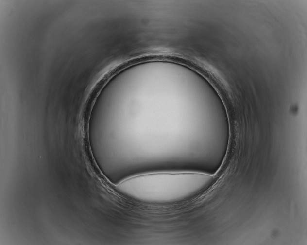 X0000100851318200806200753