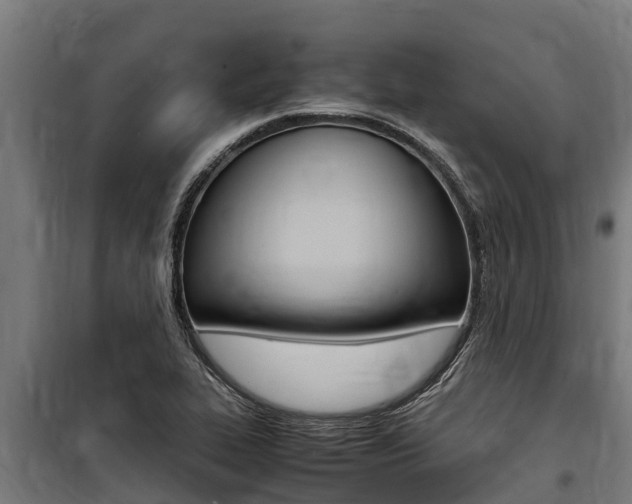 X0000100851319200806200753