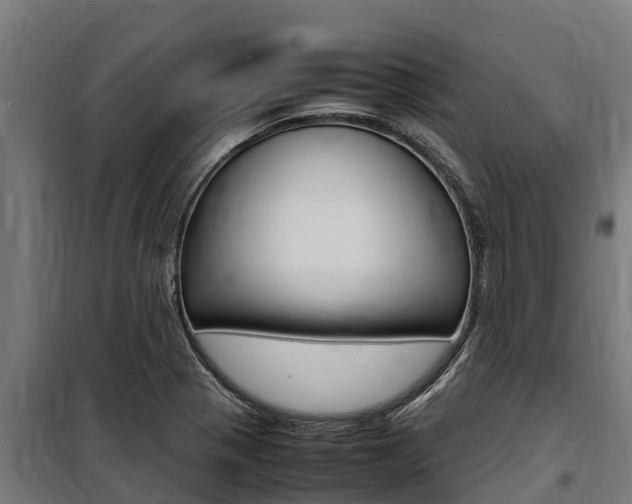 X0000100851321200806200753