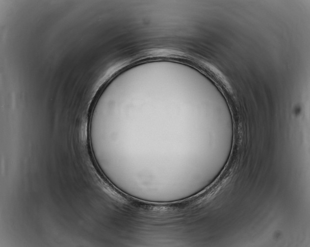 X0000100851322200806200753