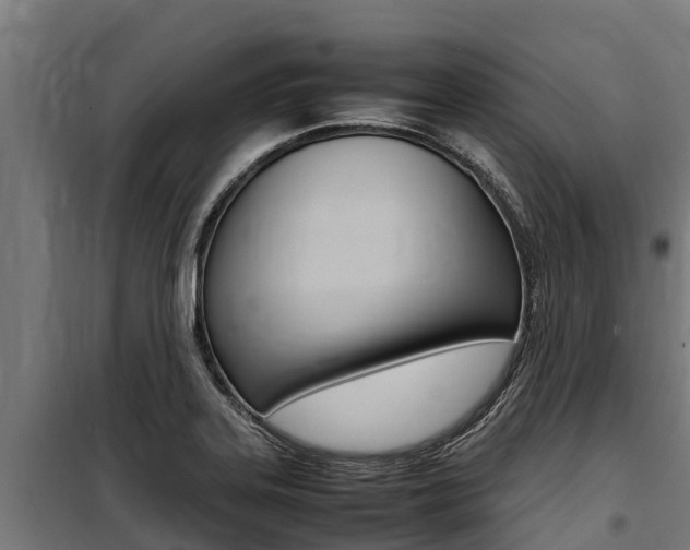 X0000100851323200806200753