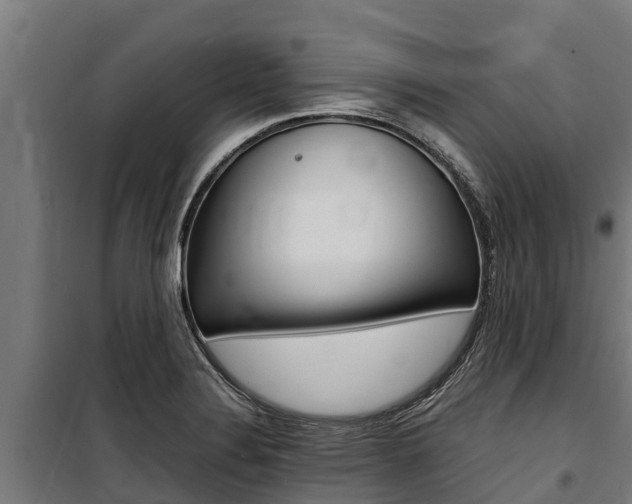 X0000100851324200806200753
