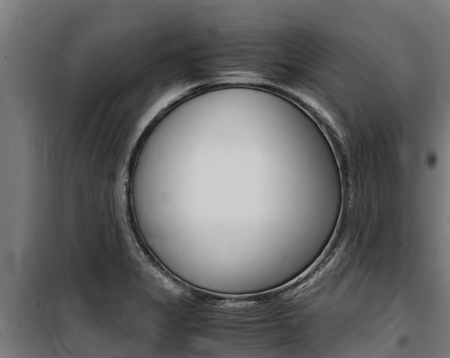 X0000100851325200806200753
