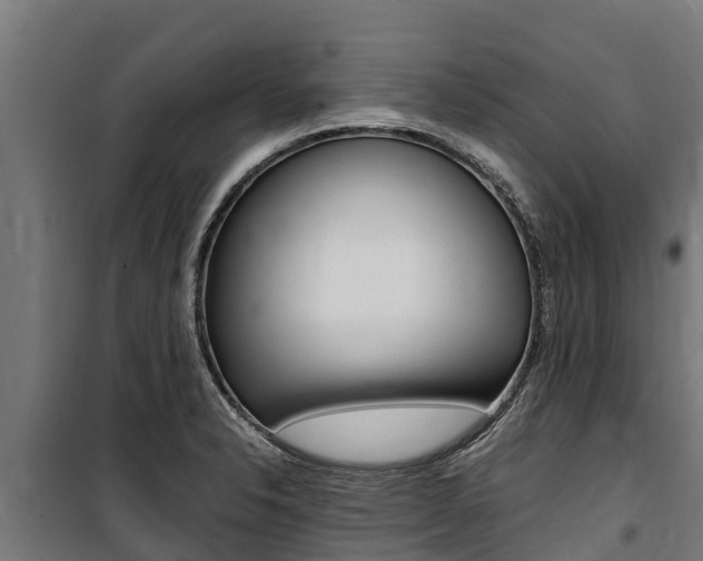 X0000100851326200806200753