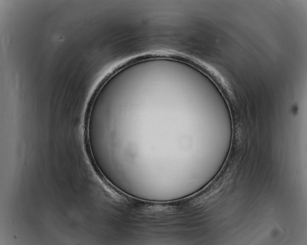 X0000100851327200806200753