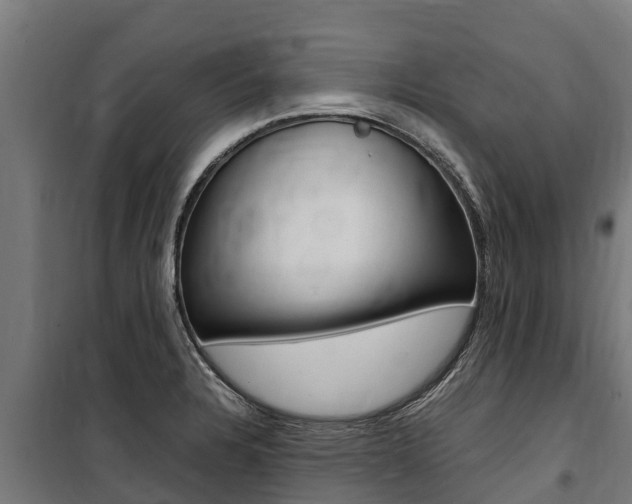 X0000100851328200806200753