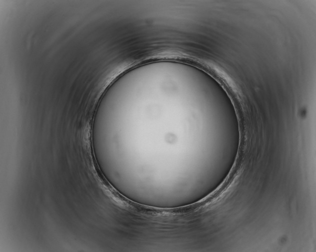 X0000100851329200806200753