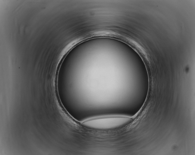 X0000100851330200806200753