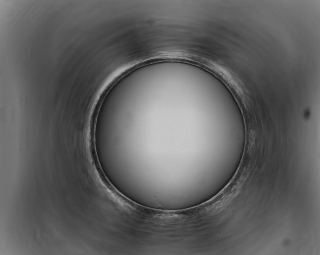 X0000100851331200806200753