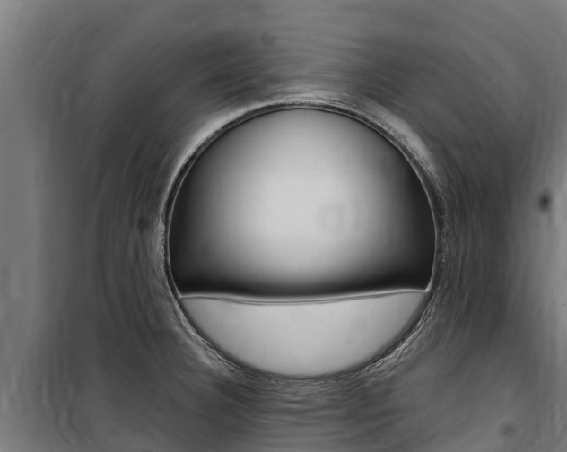 X0000100851332200806200753