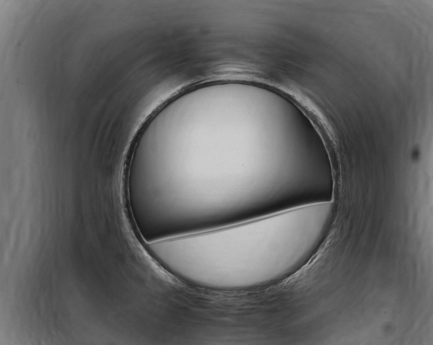 X0000100851333200806200753