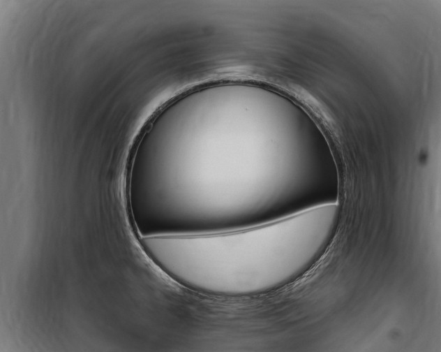 X0000100851334200806200753