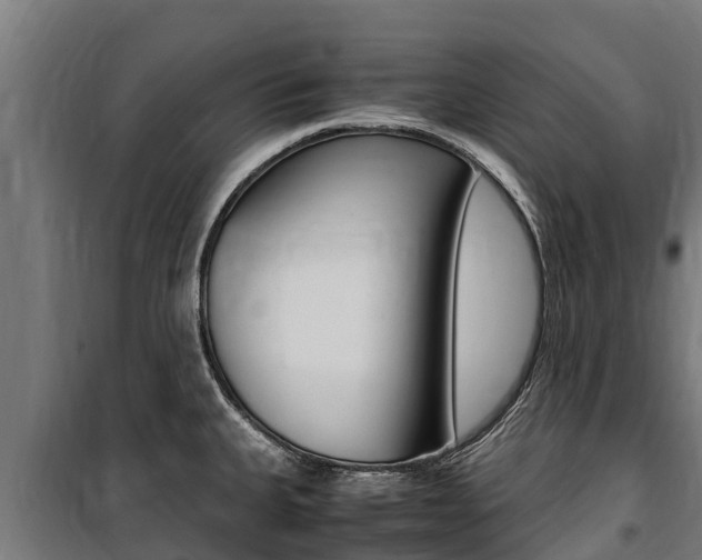 X0000100851335200806200753