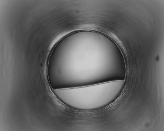 X0000100851336200806200753