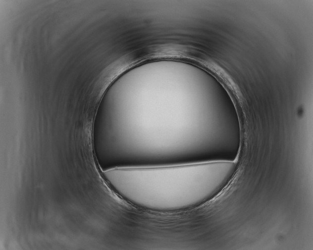 X0000100851337200806200753