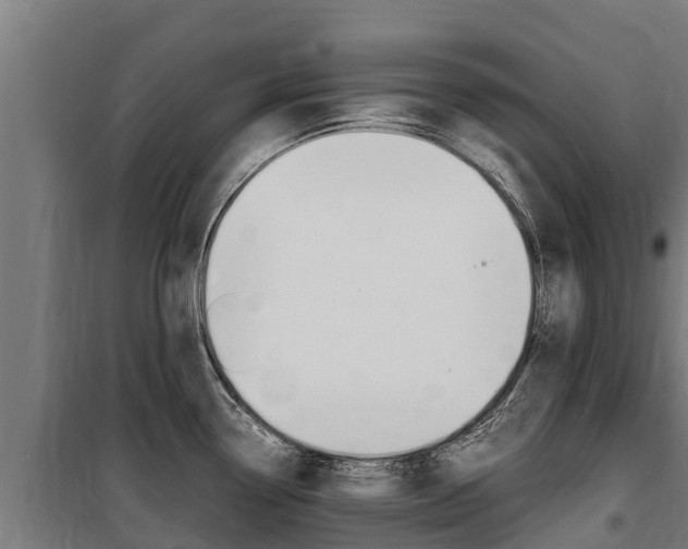 X0000100851338200806200753