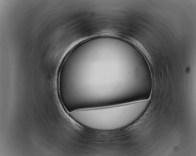 X0000100851339200806200753